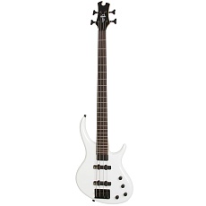EPIPHONE Toby Standard-IV Bass AW